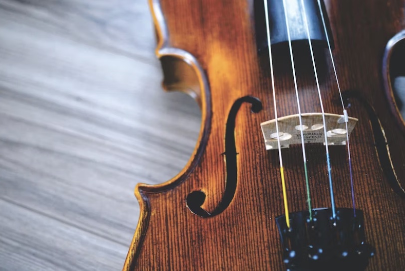 violin on a table